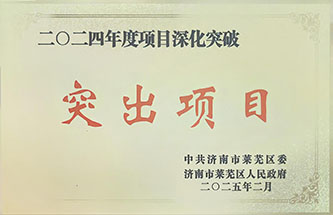 2024年度项目深化突破突出项目