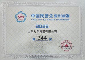 2025年中国民营企业500强244位