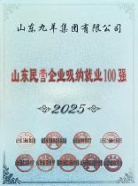 ks凯时2025年度山东民营企业吸纳就业100强